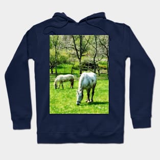 Horses - Two White Horses Grazing Hoodie